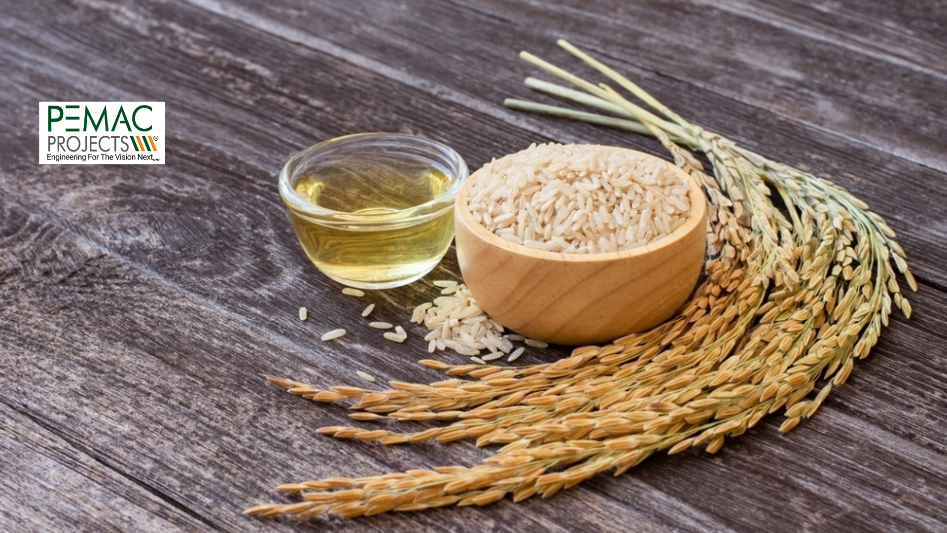 Unveiling the Secrets of Rice Bran Oil Bleaching Section
