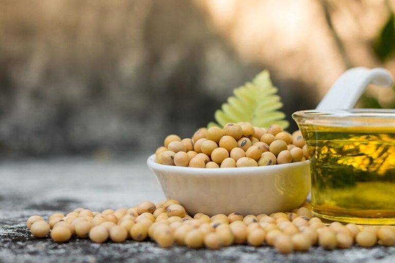 healthy-soybeans-are-high-protein-vitamins_49059-512-transformed