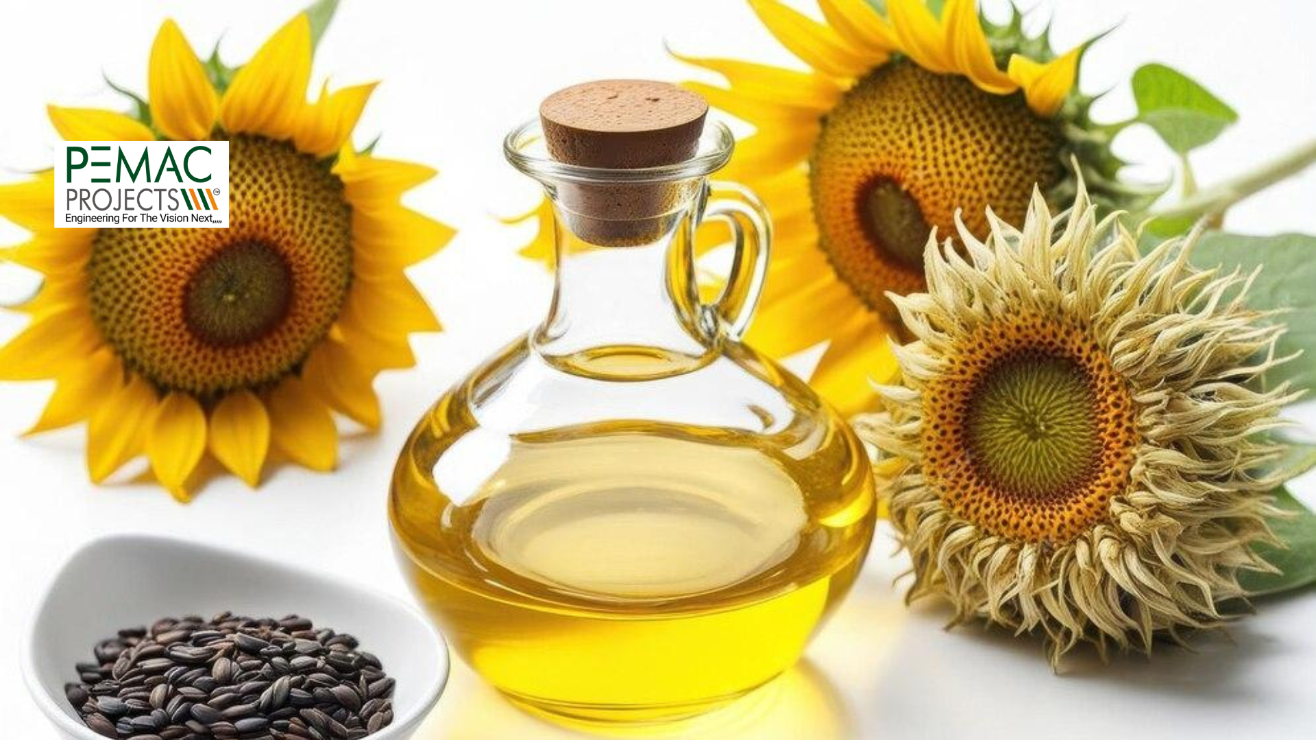 Sunflower Oil Production: From Seed to Bottle