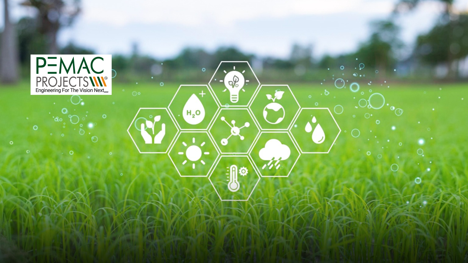 Biodiesel: A Sustainable Solution for a Greener Future