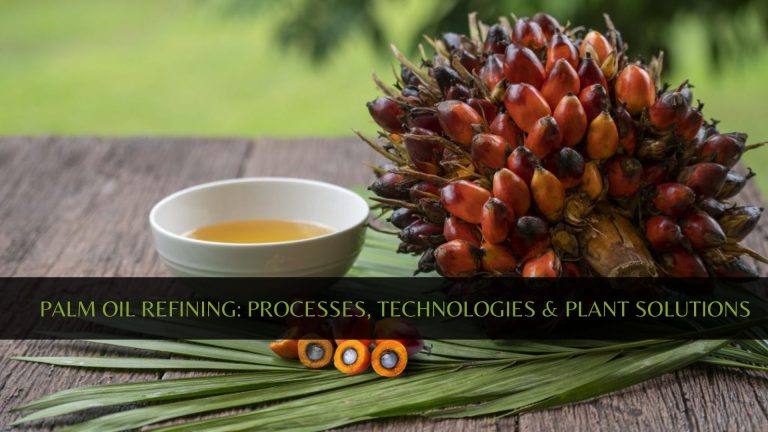 Palm Oil Refining: Processes, Technologies & Plant Solutions