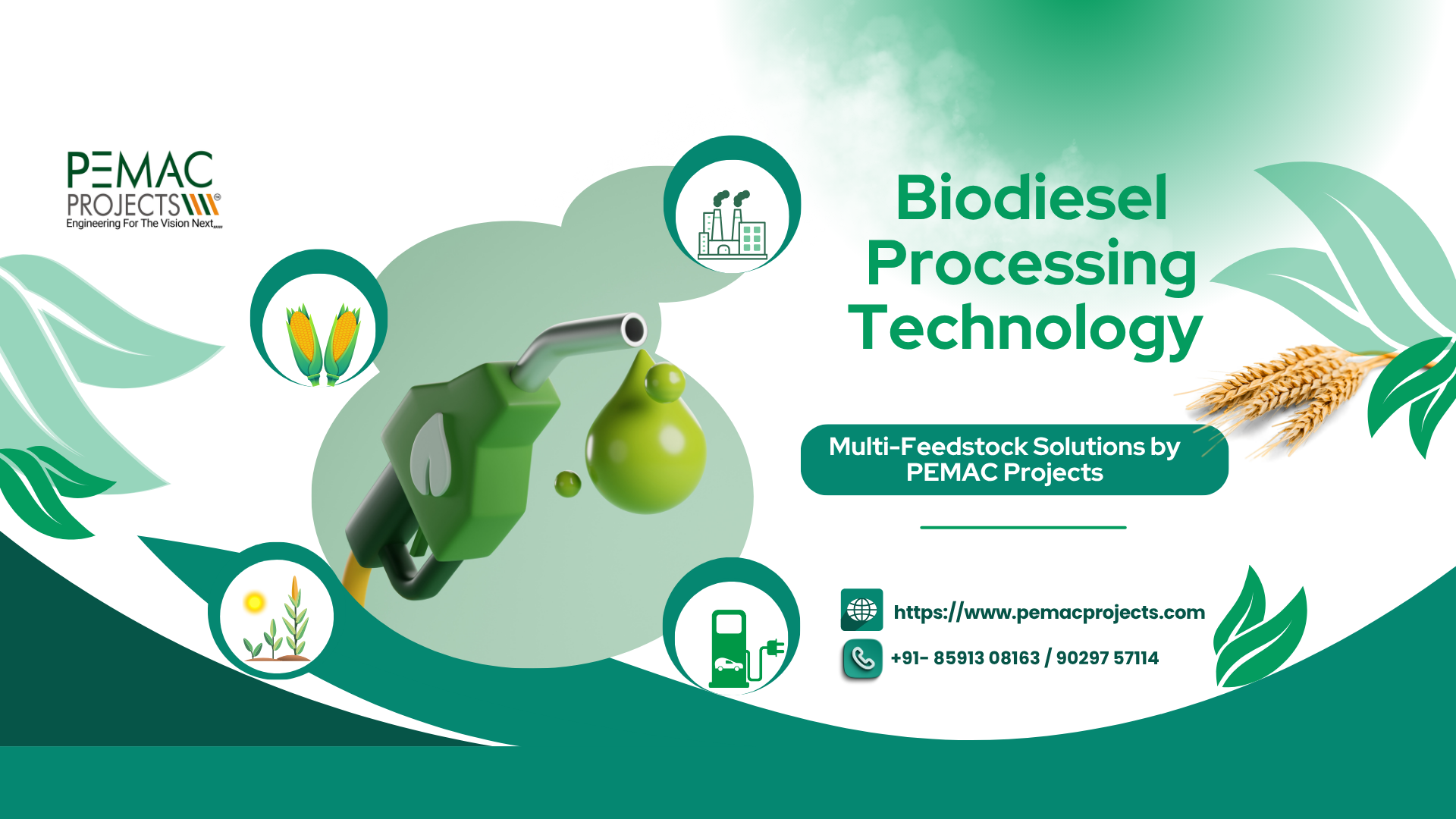 Biodiesel Processing Technology & Multi-Feedstock Solutions by PEMAC Projects