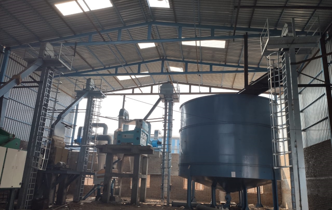 Oil Seeds & Grain