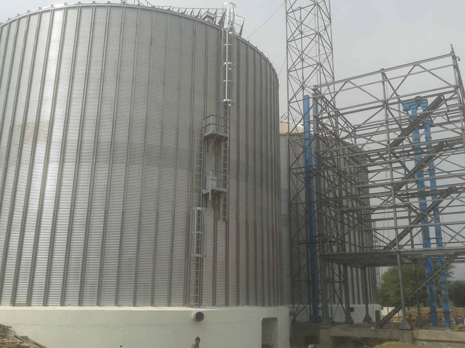 Oil Seeds & Grain